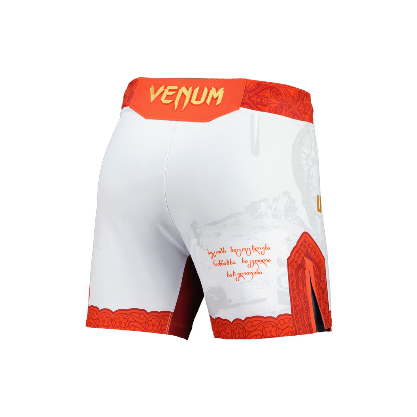 Merab Dvalishvili Shorts
